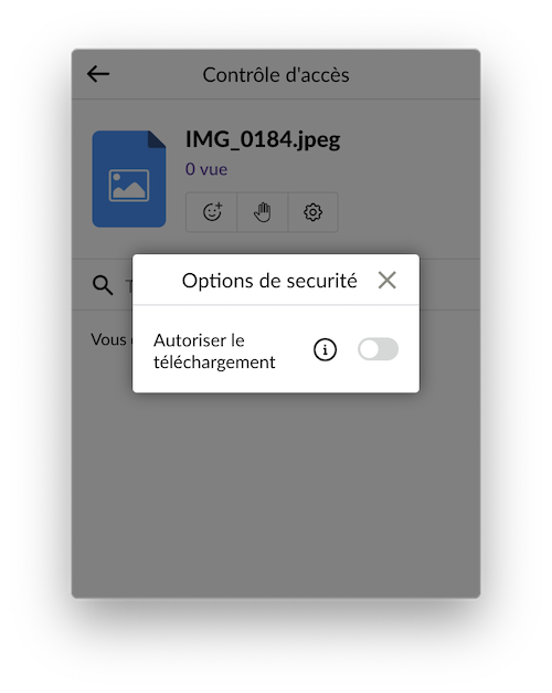 Autoriser le téléchargement
